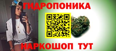 марихуана Новодвинск