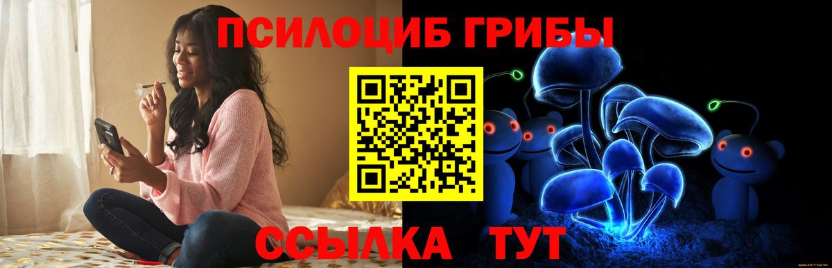 закладка  Галлюциногенные грибы ЛСД  Сосновый Бор  Вход с VPN  Галлюциногенные грибы мицелий 